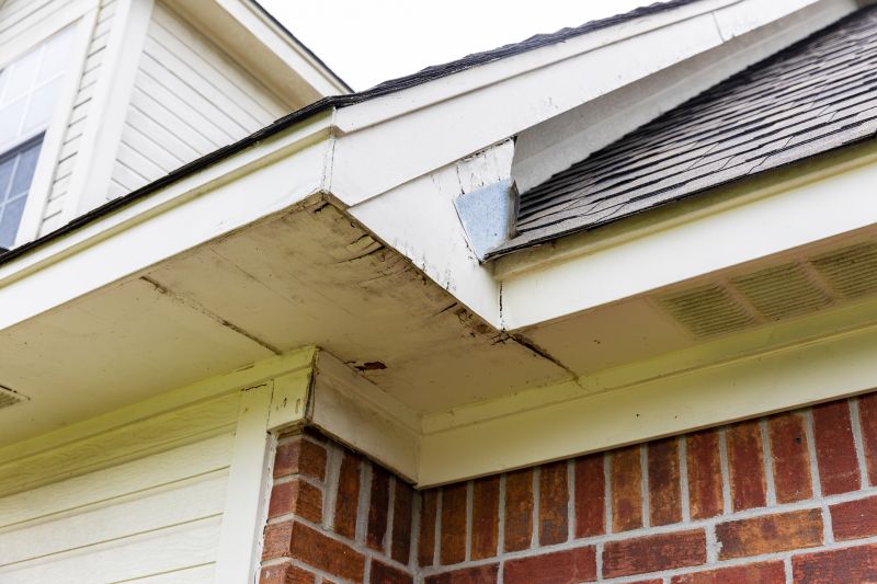 Soffit Damage and Repair